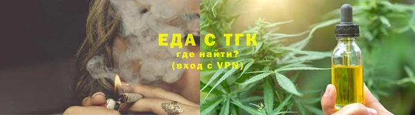 тгк Абаза