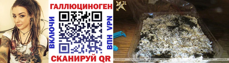 Псилоцибиновые грибы мухоморы  блэк спрут зеркало  Алапаевск 